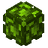 ItemTextureVerdant Fragment.png